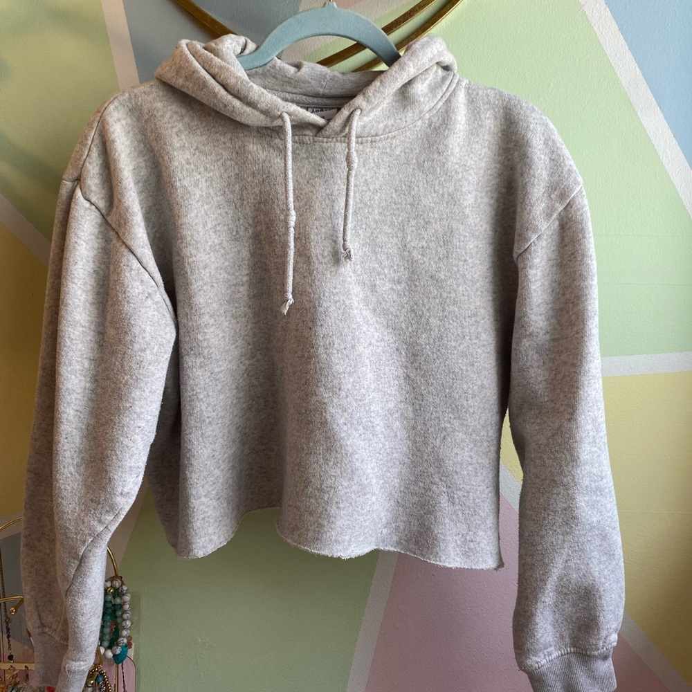 Gray Cropped Boxy Long Sleeve Hoodie